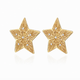 Pre Order Silver Star Earrings