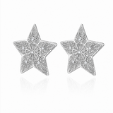 Pre Order Silver Star Earrings
