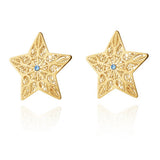 Pre Order Silver Star Earrings